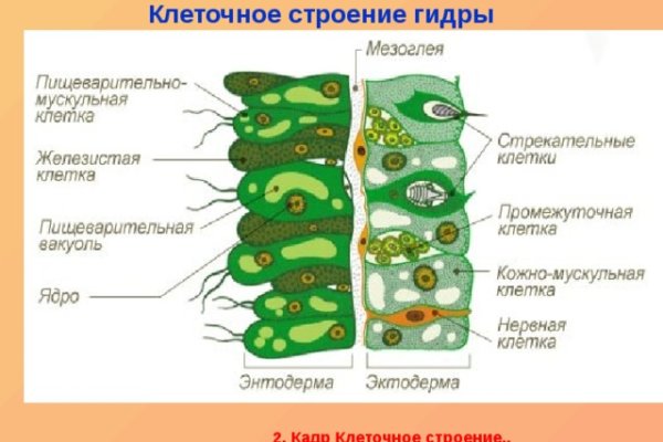 Кракен даркнет только через тор