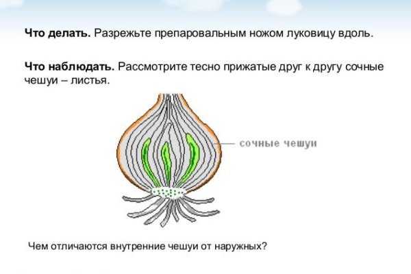 Кракен 16 at